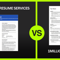 naukri resume service alternative - 1millionresume