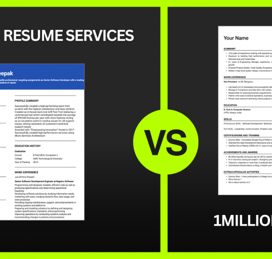 naukri resume service alternative - 1millionresume