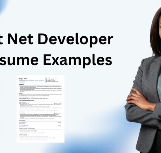 This image is showing Dot Net Developer Resume Example blog featured image